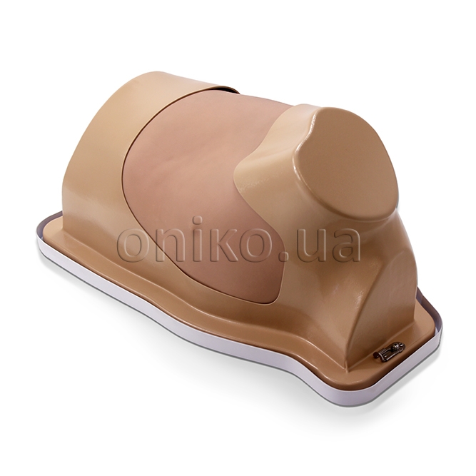 NEW // Video-Assisted Thoracoscopic Surgery Trainer with Mimic Lung Model