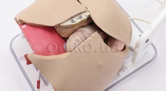 NOVINKA // Trenažér traumatické torakotomie