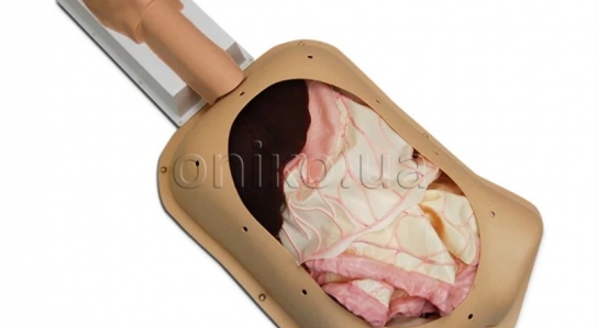NOVINKA // Pokročilý trenažér břišní chirurgie AST s pokročilými orgány
