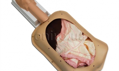 NEW // Advanced Abdominal Surgery Trainer AST with Advanced Organs