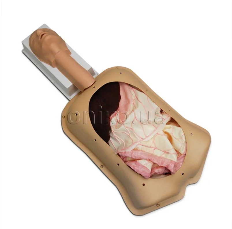 NEW // Advanced Abdominal Surgery Trainer AST with Advanced Organs