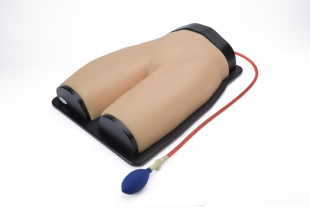 NEW // Vascular Access and Regional Anesthesia Ultrasound Training Model