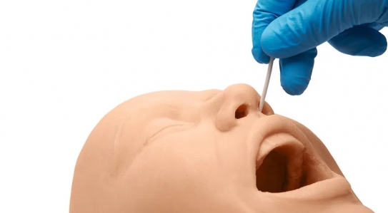 NEW // Oral and Nasal Swab Simulator