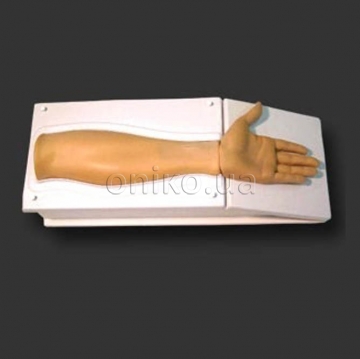 Endo Radial Artery Trainer