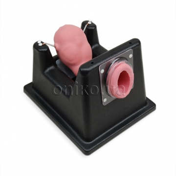 Uterine Surgery Trainer