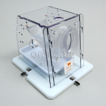 Endometrial Ablation Trainer