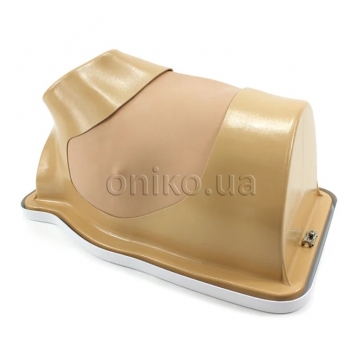 VATS Trainer for Explant Left Side