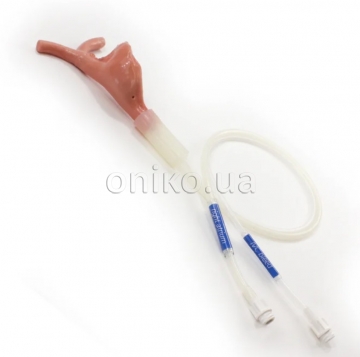 Surgical SAM Right Atrium