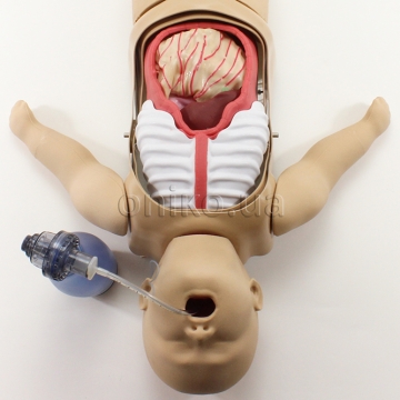 Pediatric General Surgery Trainer SAM