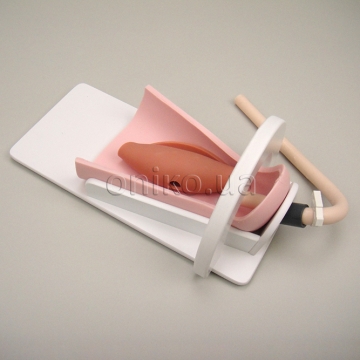 Pelvis Trainer Interior