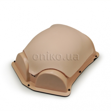 Insufflated Abdomen Model