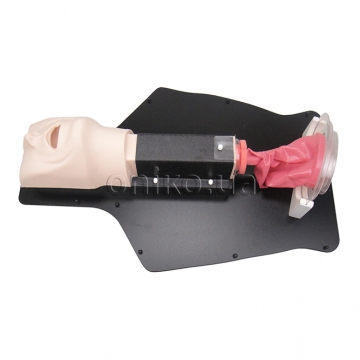 Endoscopic Fundoplication Trainer