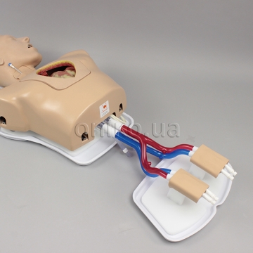 Femoral Access Module