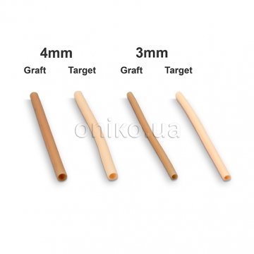 4 mm Target Vessel (7.62 cm length)