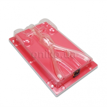 AAA Trainer (Abdominal Aortic Aneurysm Trainer)