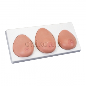 Breast Self-Examination model, three single breasts on base