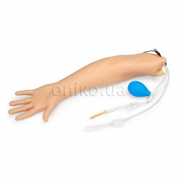 Model ruky pro arteriální punkce