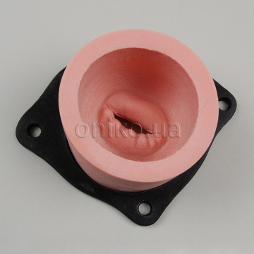 Nový trenažér prolapsu mitrální chlopně