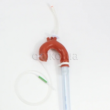 Vyměnitelná aorta s možností kanylace