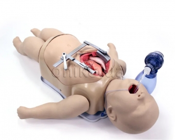 Trenažér Surgical Sam