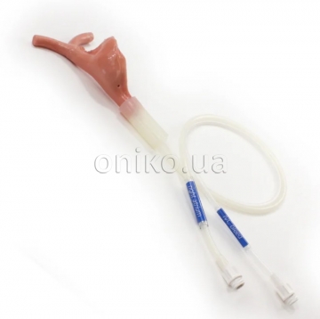 Pravá síň pro trenažér Surgical Sam