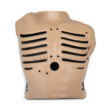 Hrudník s pohyblivými žebry