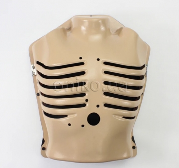 Hrudník s pohyblivými žebry a zvednutými pažemi