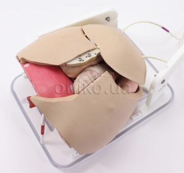 Trenažér traumatické torakotomie