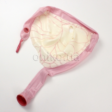 Modul tlustého střeva s mezokolonem pro kompaktní AST