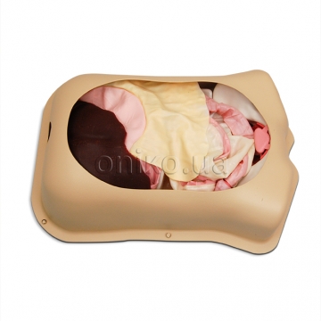 Trenažér abdominální chirurgie AST s originálními orgány