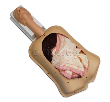 Pokročilý trenažér abdominální chirurgie Advanced AST s pokročilými orgány