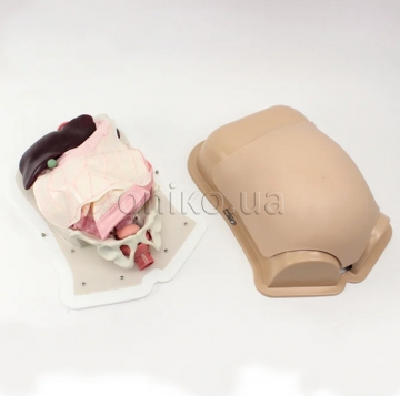 Robotická chirurgie