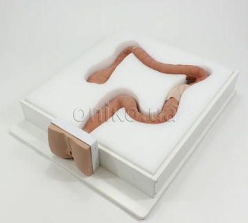 Trenažér pro kolonoskopii