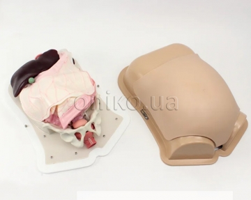 Kompaktní trenažér pro abdominální chirurgii