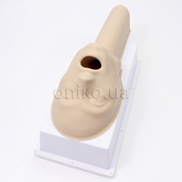 Modul hlavy a jícnu