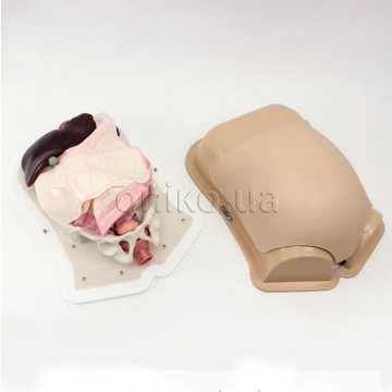 Компактный тренажёр абдоминальной хирургии (AST)