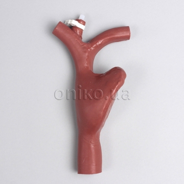 Aorta pro extrakorporální membránovou oxygenaci (ECMO)