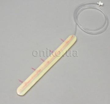 Levá vnitřní hrudní tepna s vysokou věrností