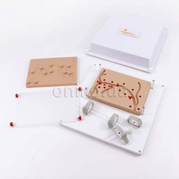 Тренажер біліарної ендоскопії