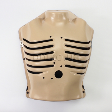 Model hrudníku s pohyblivými žebry (paže nahoře)