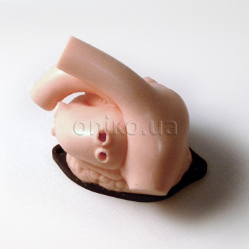 Model mitrální chlopně s síněmi