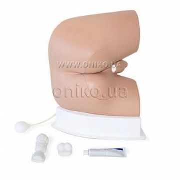 Male Rectal Examination Trainer - Standard