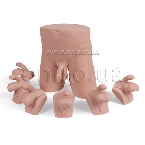 Шабнами Сурайомен порно видео