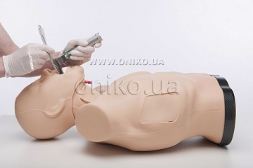Mannequin torso for resuscitation actions
