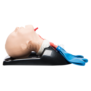 Pediatric Airway Management and Emergency Cricothyroidotomy