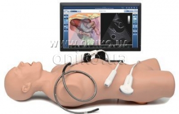 Vimedix Cardiac - обучение технике эхокардиографических исследований