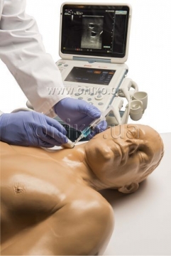 Ultrasonic Central Catheter Training Simulator