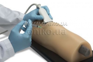Studijní model muskuloskeletálního ultrazvukového vyšetření