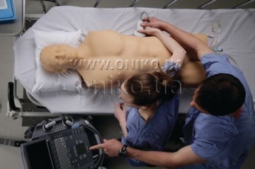 Ultrazvukový výcvikový simulátor zaměřené sonografie pro zranění