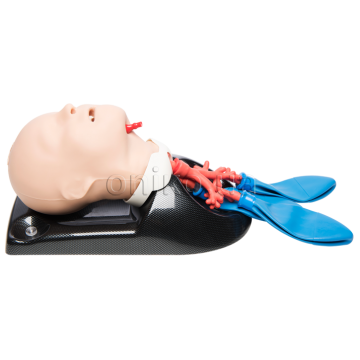 Pediatric Airway Management and Bronchoscopy Trainer